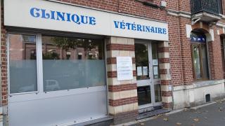 Vétérinaire Clinique vétérinaire Animaloos Drs Joseph - Verrier - Ceuleers et Diallo 0