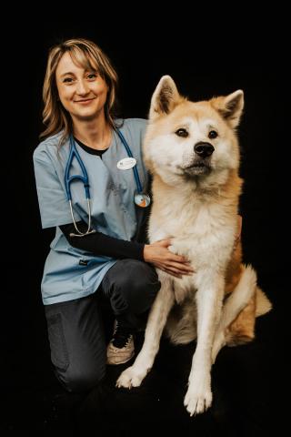 Vétérinaire Clinique Vétérinaire Du Lion Vert 0